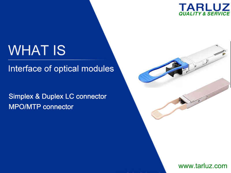 What Types of Fiber Optic Cable Should I Use for 10G / 40G / 100G